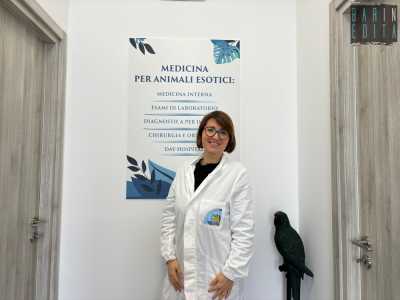 I veterinari esoticisti